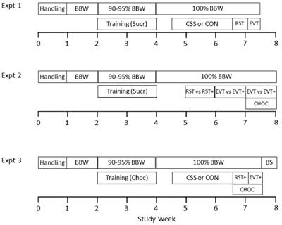 Chronic Social Stress Leads to Reduced Gustatory Reward Salience and Effort Valuation in Mice